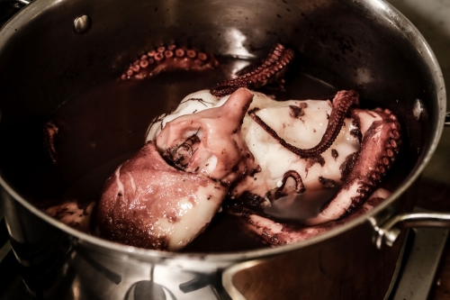 Domestic-Godless_Cooks-Academy5