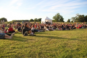 Big-House-Festival-audience-listen-to-LAPD-1024x682